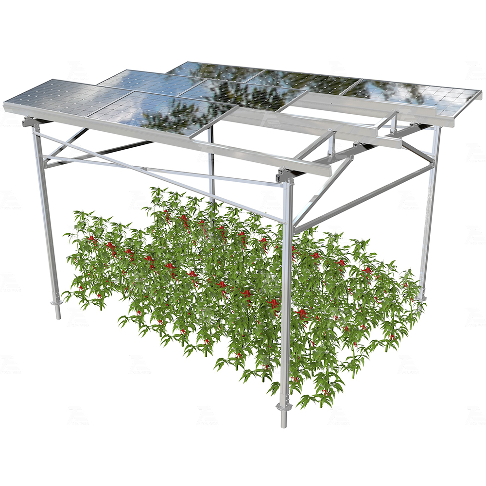 Agrivoltaic Solar Mounting System